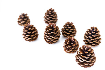 pomme de pin fête noël seul groupé unique fond blanc gros plan 