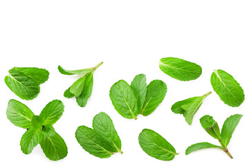 Fresh mint leaves isolated on white background. top view