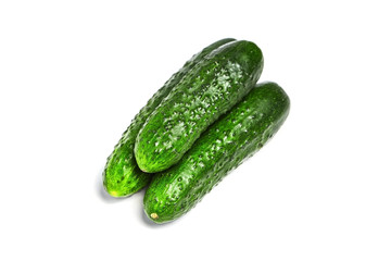 Gherkins isolated on white background. Three green fresh gherkins