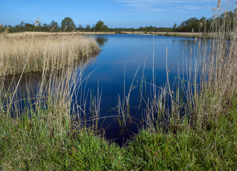 Canal and Peetland. Moor. National Park Weerribben-Wieden Netherlands  Steenwijkerland. Spring. Overijssel.