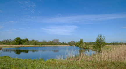 Fototapeta na wymiar Canals and lakes. National Park Weerribben-Wieden Netherlands Steenwijkerland. Spring. Overijssel.