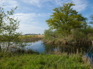 Fototapeta na wymiar Canals and lakes. National Park Weerribben-Wieden Netherlands Steenwijkerland. Spring. Overijssel.