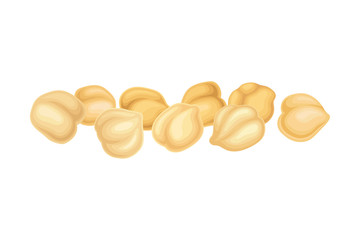 Chickpea Beige Pile as Annual Legume Plant Vector Illustration