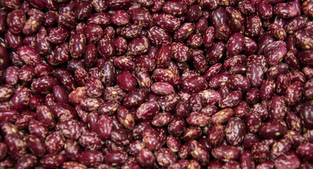 Many beans together, of the Tolosana type, macro photography