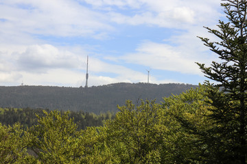 landscape with trees