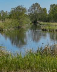 Fototapeta na wymiar Canals at. National Park Weerribben-Wieden Netherlands Steenwijkerland. Spring.