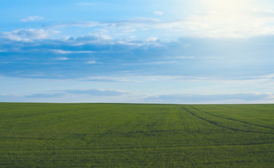 Green field on the horizon. Blue sky.