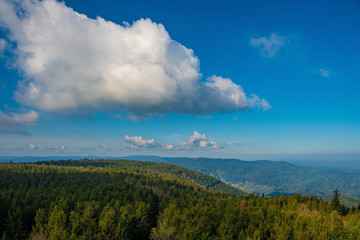The view down onto the green Black Forest in Germany in spring