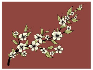 Magnolia branch with leaves, great design for any purposes. Floral design. Vector isolated illustration. Vector clipart illustration.