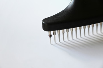 Dog brush with tick. Dog care.