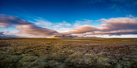 Panoramic view over beautiful colorful sunset landscape with ancient moss and lichen, tundra...