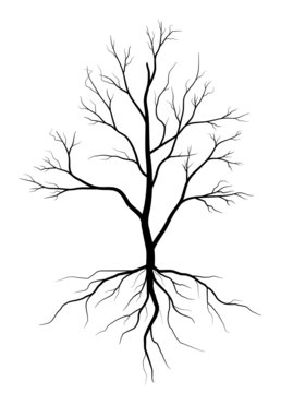 Black Branch Tree or Naked trees and root silhouettes set. Hand drawn isolated illustrations.