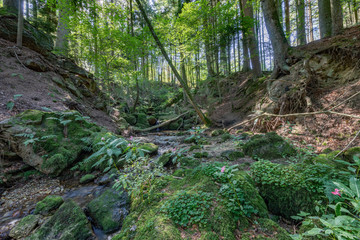 Fototapeta premium Amering, Ameringer Graben, Stubenberg, Landkreis Rottal-Inn, Niederbayern, Bayern, Deutschland, Geotop, Naturdenkmal, Sehenswürdigkeit