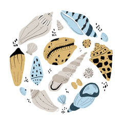 Vector hand-drawn color simple flat set with different shells on a white background. Hand draw underwater illustration with sea shells. Summer paradise holiday marine background. Seashells sketch.
