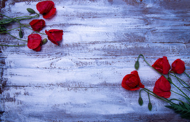Red poppy flowers on rustic wood table background. Lay flat. Top view. Copy space