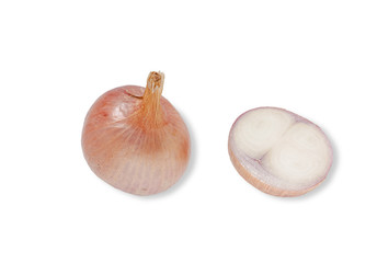 onion isolated on white background