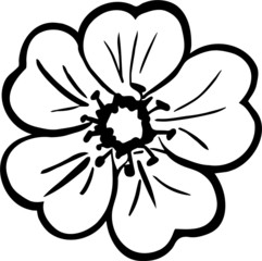 black and white vector sketch of a wildflower plant