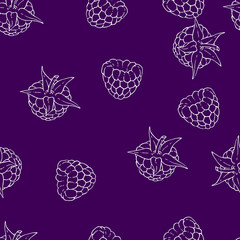Blackberry  and raspberry isolated on purple background. Vector white silhouette drawing. Handwork. Seamless pattern