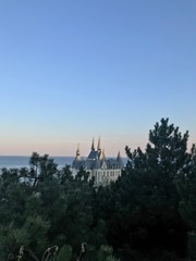 Landscape of a building in the coniferous trees outline on the evening sky background above the sea horizon.