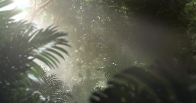 3D Rendition of Late Evening in Tropical Rainforest, Easily Add Actor into the Middleground of the Scene with Provided Foreground Luma Matte, Best Use with Medium Full Shot Recording, Shallow DOF