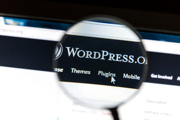3 Tips for Starting your WordPress Site! - Spark Media