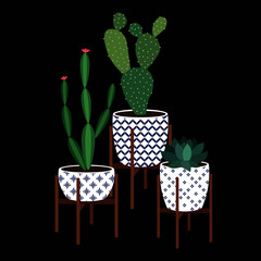Succulents and cactus plants in decorative ceramic pots. Boho style vector illustration. Cute set of cacti and house plants. - 344121293