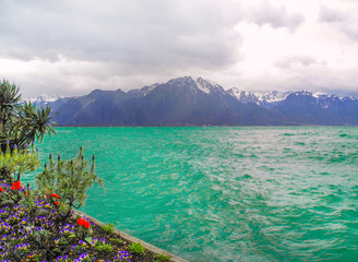 Geneva lake, red flowers and bright turquoise water, Switzerland.