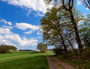 Hiking trail in the beautiful Forest of Odes in Baden-Wuerttemberg:  View of Spring landscape with path, hills, meadows, blooming apple trees, flowers, sun, blue sky and clouds in Germany in Europe.
