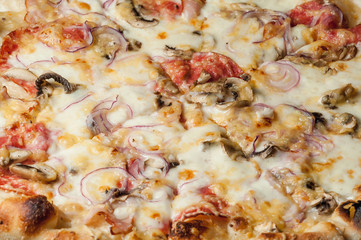 cooked pizza with cheese close-up
