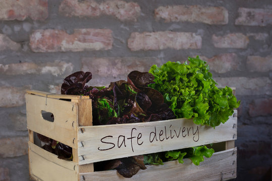 green salad sefe delivery