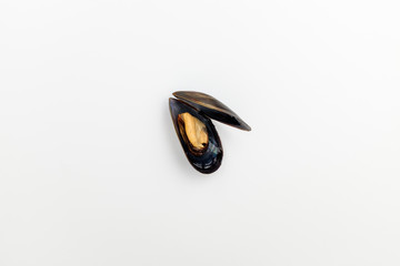 Mussels trimmed on a white background