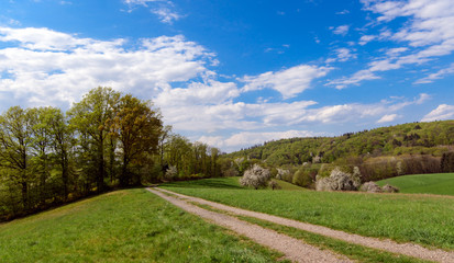View of springtime landscape in Odenwald with hills, meadows, blooming apple trees, sky, clouds and a curved trail near Rippenweier, Weinheim, Baden-Württemberg in Germany, Europe.