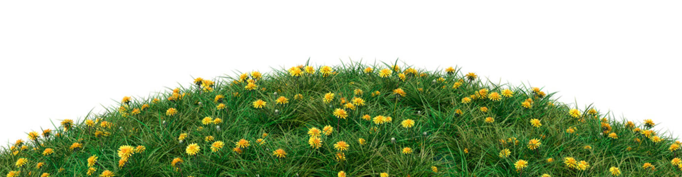 Grassy hill with dandelions isolated on a white background. 3d image