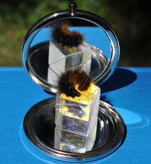 Effects in the reflection of a shaggy caterpillar in an optical prism and mirror
