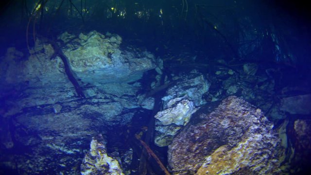 dive into the cenotes, Yucatan, Mexique.