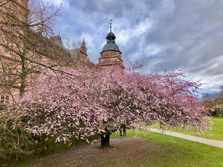 Aschaffenburger Schloss