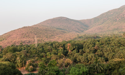 Fototapeta na wymiar The green forests below the slopes of Mount Girnar around the city of Junagadh in Gujarat, India.