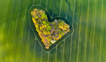 Aerial shot of forest heart in the fields