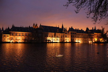 Fototapeta premium łabędź na jeziorze o zachodzie słońca