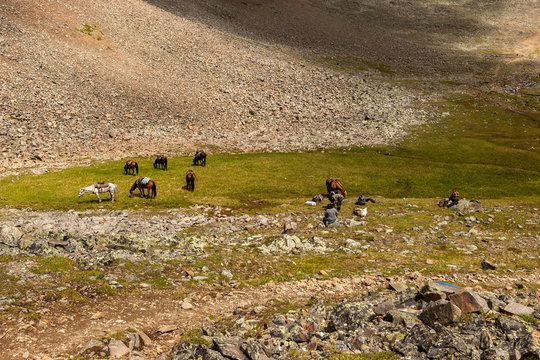 People and horses are resting on a green lawn in the mountains. Horses graze on the grass. People are sitting on the rocks. Horizontal.
