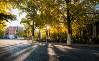 Obraz premium street in the city