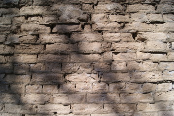 A fragment of an old brick wall with the shadow of a tree branch. Grey brick masonry.