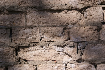 A fragment of an old brick wall with the shadow of a tree branch. Grey brick masonry.