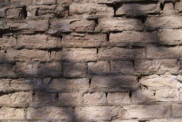 A fragment of an old brick wall with the shadow of a tree branch. Grey brick masonry.