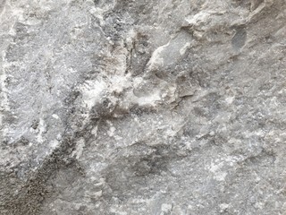 stone wall texture