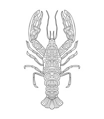 Hand draw crayfish (cancer) with different pattern on white isolated background. River animal. For coloring book pages.
