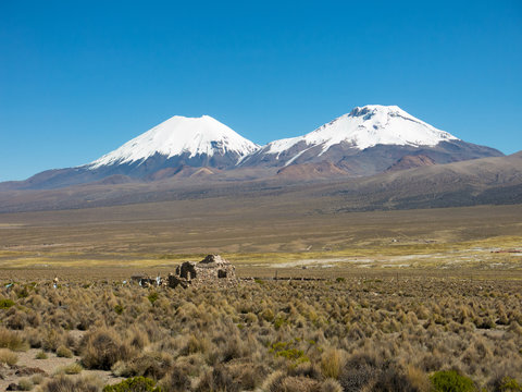 landscape of the Andes Mountains, with snow-covered volcano in the background, and a ruin in the highlands