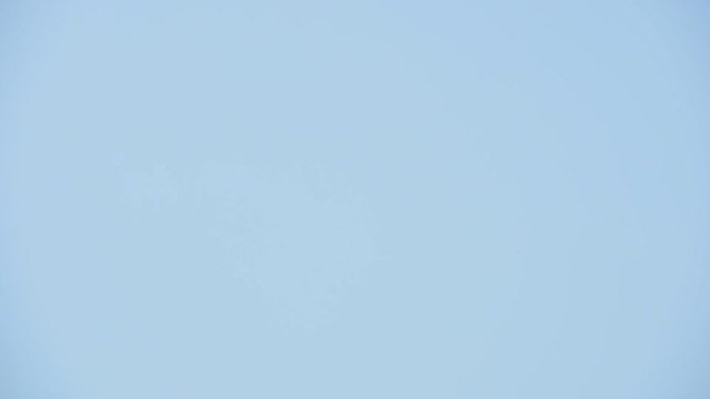 Group Of Hawk Flying Against The Blue Sky Over The Kappil Beach In Varkala, India. - close up shot