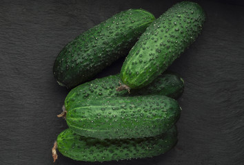 Cucumbers background Cucumbers harvest. A lot of cucumbers. cucumbers from the field.
