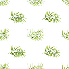 Seamless pattern of green palm leaves on a white background. Elements are drawn in watercolors.
